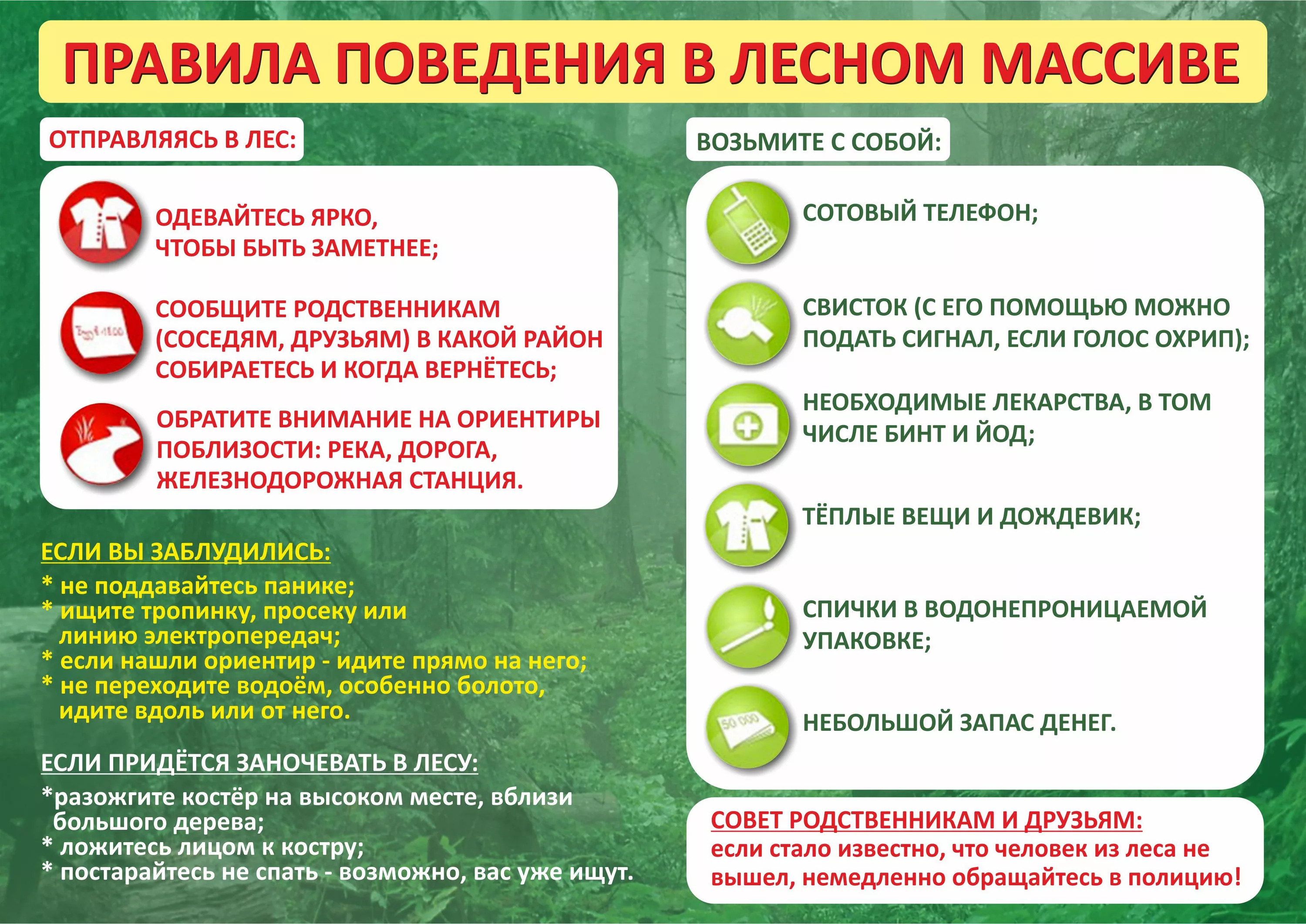 Безопасность в лесу.